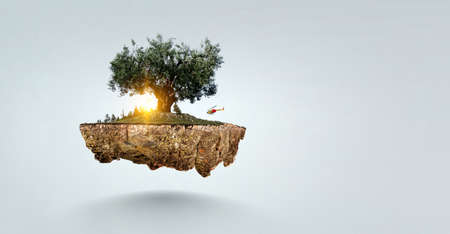 Image of tree and landscapeの写真素材