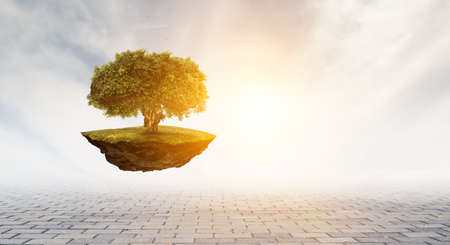 Image of tree and landscapeの写真素材