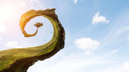 Green curved landscape with grass