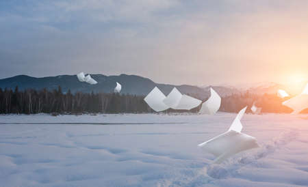 Amazing nature winter background landscape