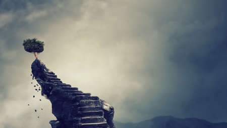 Stone stairs towards the green tree