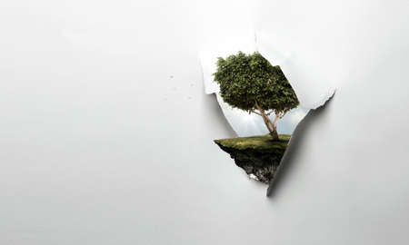 Image of tree and landscape