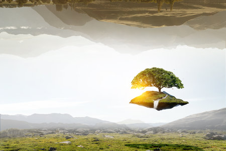 Image of tree and landscapeの写真素材