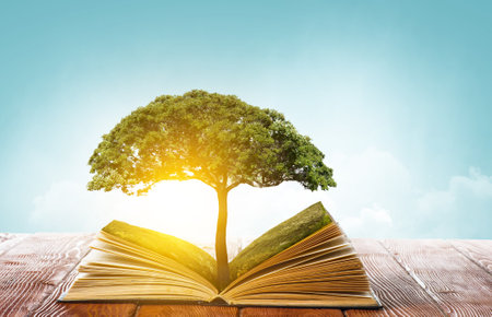 World of books concept . Mixed mediaの写真素材