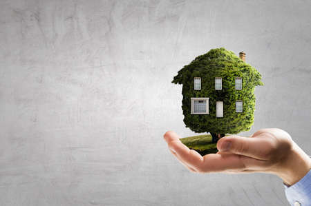 Hand holding green house . Mixed mediaの写真素材