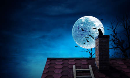 Spooky night image . Mixed mediaの写真素材