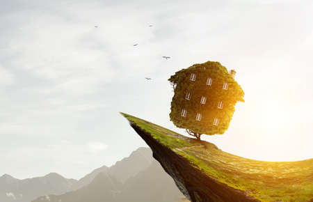 Green grass house and landscape with grassの写真素材