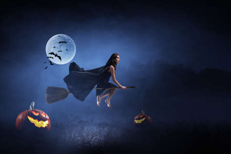 Witch on the broom . Mixed media