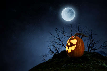 Halloween design with pumpkins . Mixed mediaの写真素材