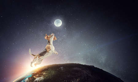 Dog flying in the space