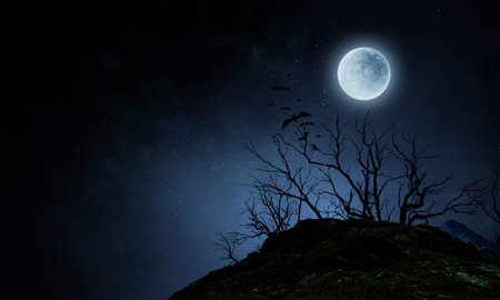 Scary night image . Mixed mediaの写真素材