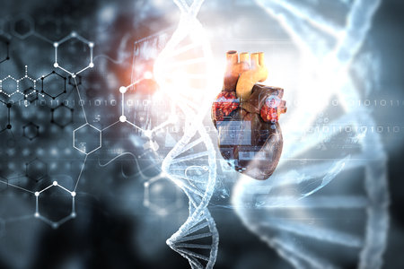 Moderm medicine. Cardiology . Mixed mediaの写真素材