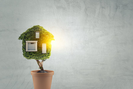 Little Eco House on the green grassの写真素材