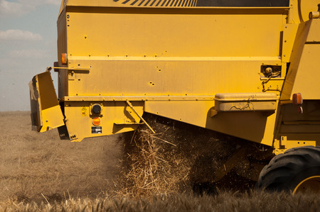 harvest in wheat fieldの写真素材
