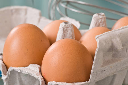 bio eggs in the kitchen 