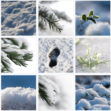 winter Background collage - snow textureの写真素材
