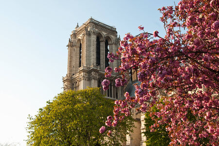 Notre-Dame of Paris cathedralの写真素材
