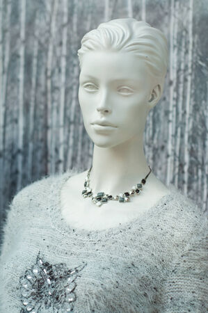 Mannequin in the showcase storeの写真素材