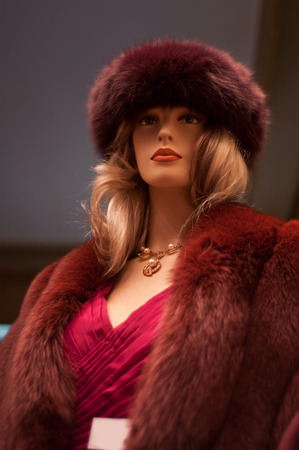 Mannequin winter fashion in a showroomの写真素材