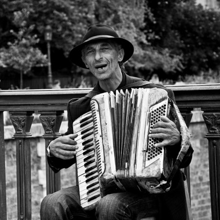 PARIS - France - 21 June 2013  - accordionist in Paris notre dame of Parisのeditorial素材