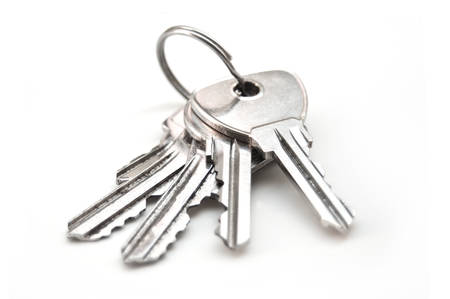 metallic keys with ring on white background