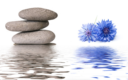 zen banner backgroundの写真素材