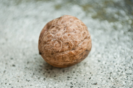 walnut on stoned background