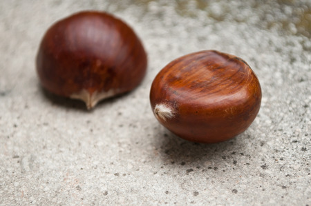 closeup group of  chestnuts on stoned  backgroundの写真素材