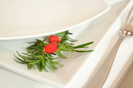 decorative branch of yew tree in a plateの写真素材