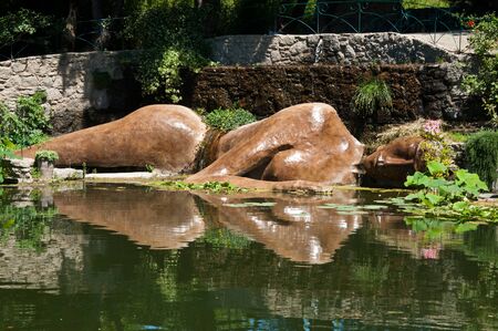statue of buddha in the water in japanese gardenの写真素材