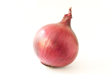 closeup of purple onion on white backgroundの写真素材