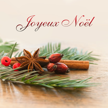 merry christmas card with decorative anise cinnamon and dog rose (text in french)の写真素材