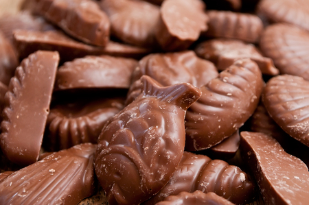 closeup of shell-shaped chocolates pralines assortment texture