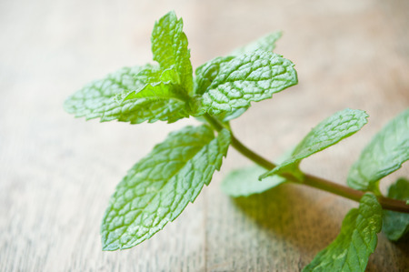 closeup of leaves of mint on wooden table backgroundの写真素材