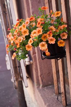 decorative flowers house facade in colmarの写真素材
