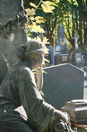 stoned angel in cemetery on a tombの写真素材