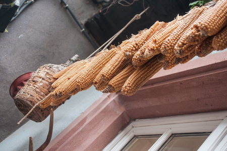closeup of  ears of corn alignment suspended at window in an alsatian villageの写真素材