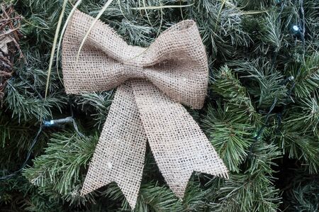 closeup of decorative ribbon for christmas decoration on christmas tree in the streetの写真素材