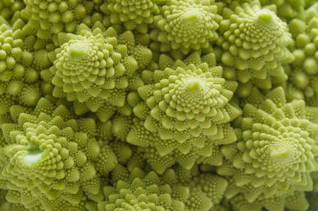 closeup of romanesco cauliflower cabbage textureの写真素材
