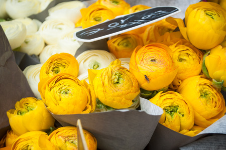 closeup of bouquet of yellow Peonies at florist の写真素材