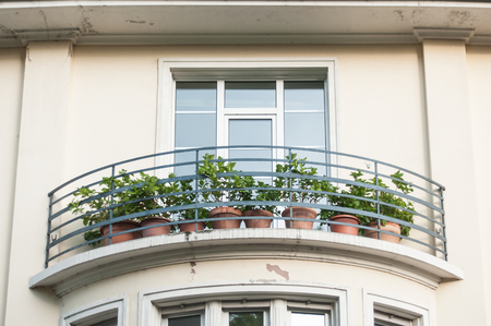closeup of hortensia plants in pots on building balcony の写真素材