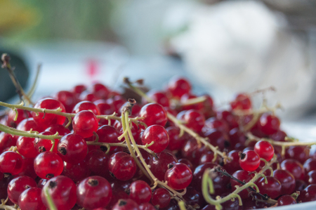 pile of  gooseberries  in a plateの写真素材