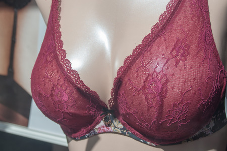 closeup of underwear on mannequin in fashion underwear store for womenの写真素材