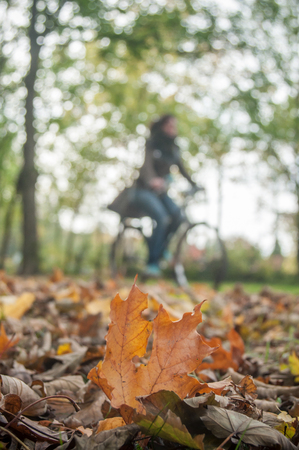 closeup of maple leaves on the floor with blurred woman in bicycle on backgroundの写真素材