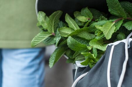 closeup of leaves int at the market in trolley の写真素材