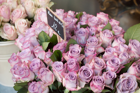 closeup of pink roses bouquets in the floristの写真素材
