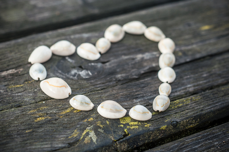 seashell in shape of heart on a wooden tableの写真素材