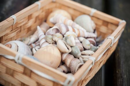 closeup of seashell in wooden basket on wooden table backgroundの写真素材