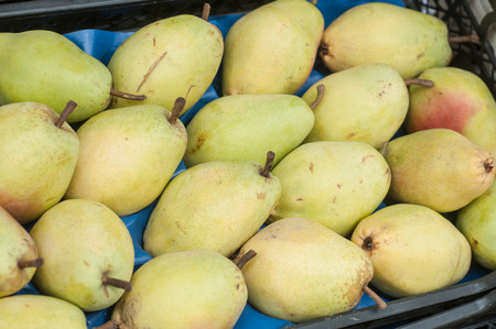 closeup of yellow pears at the market の写真素材