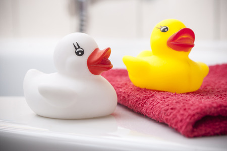 closeup of Yellow and white rubber duck toy on bathの写真素材